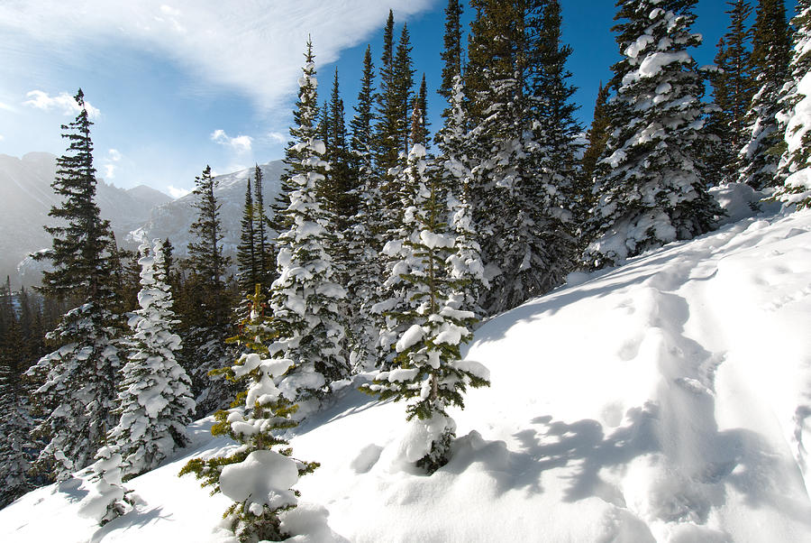 Winter Wonderland Photograph by Cascade Colors