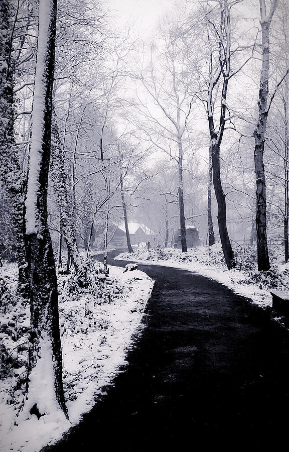Winter Photograph - Winter Wonderland by Martin Newman