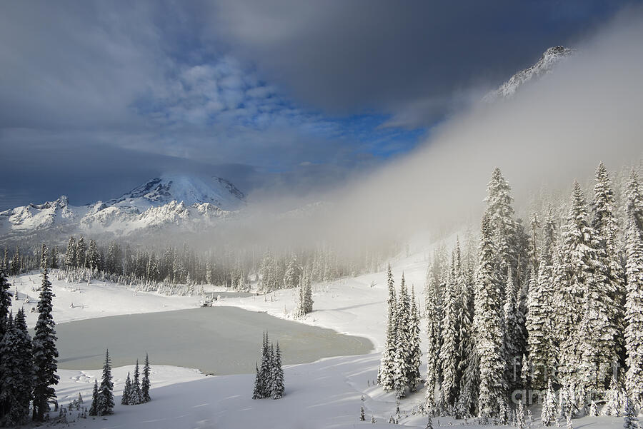 Alpine Winter Wonderland Photograph by Michael Dawson