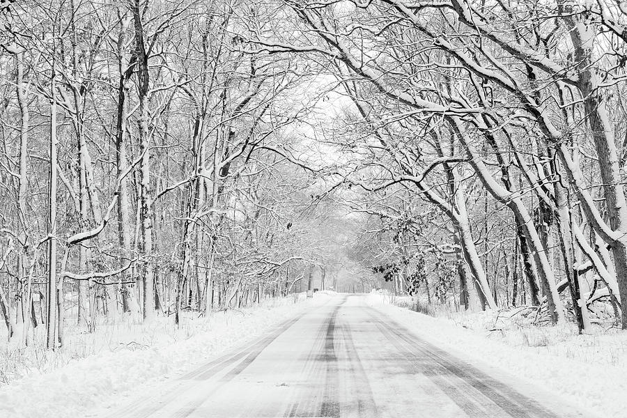 Winter Wonderland Photograph by N. Vivienne Shen Photography