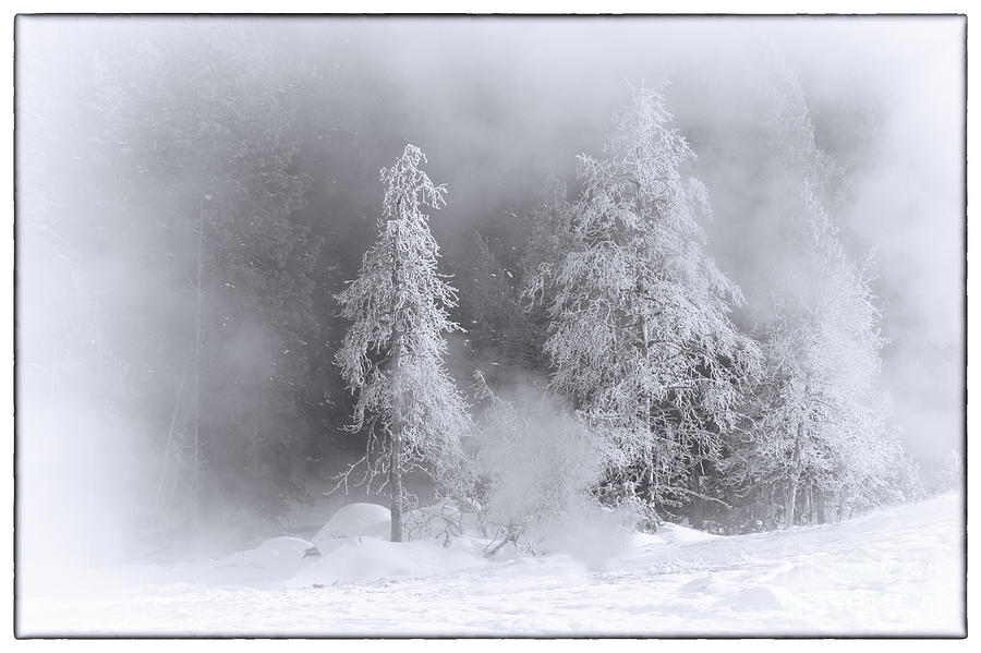 Winter Wonderland of Yellowstone Photograph by Priscilla Burgers