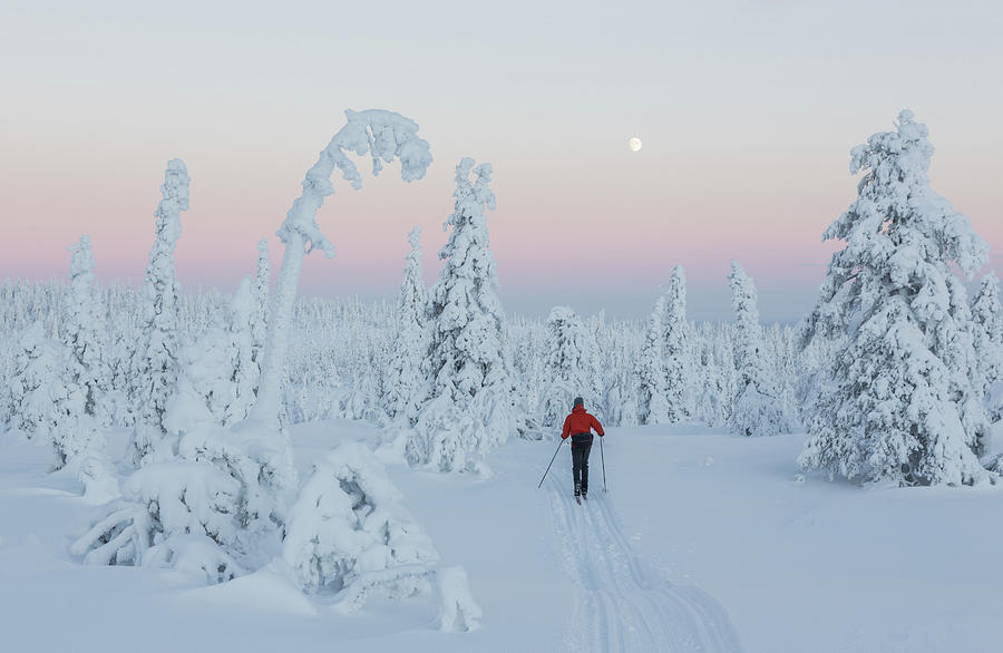 Winter Wonderland Photograph by Photo By Hanneke Luijting