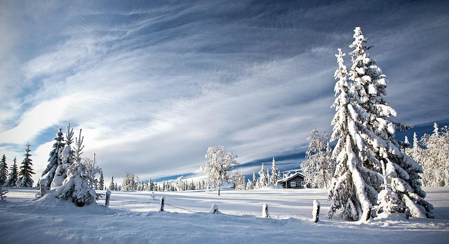Winter Wonderland Photograph by Photo By Per Ottar Walderhaug