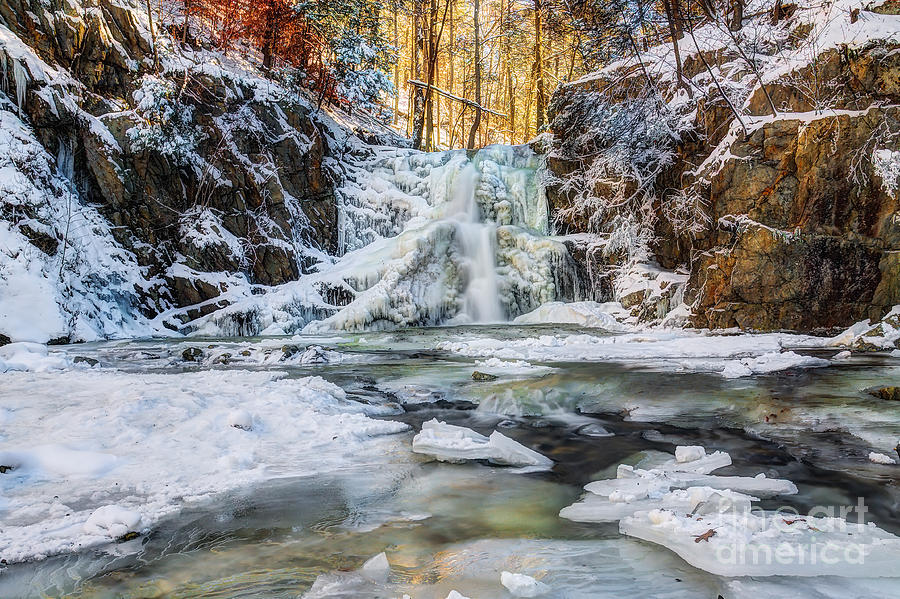 Winter Wonderland Photograph by Rick Kuperberg Sr