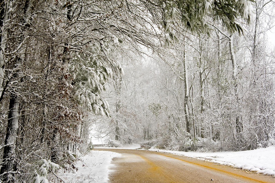 Winter Wonderland Photograph by Robert Camp