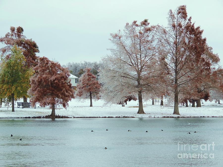 Winter Wonderland Photograph by Robert ONeil