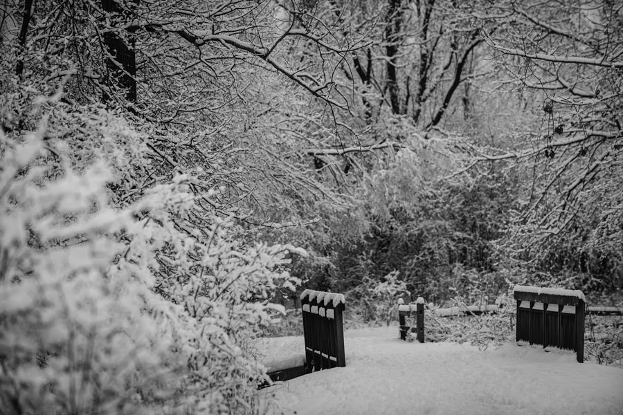 Black And White Photograph - Winter Wonderland by Sebastian Musial