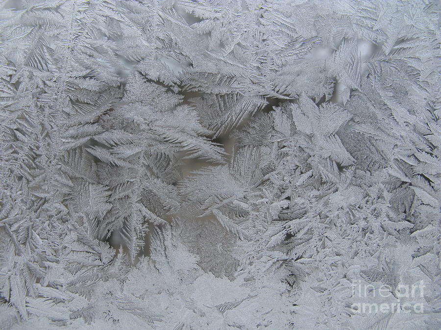 Winter Photograph - Winter Wonderland Series #01 by Ausra Huntington nee Paulauskaite