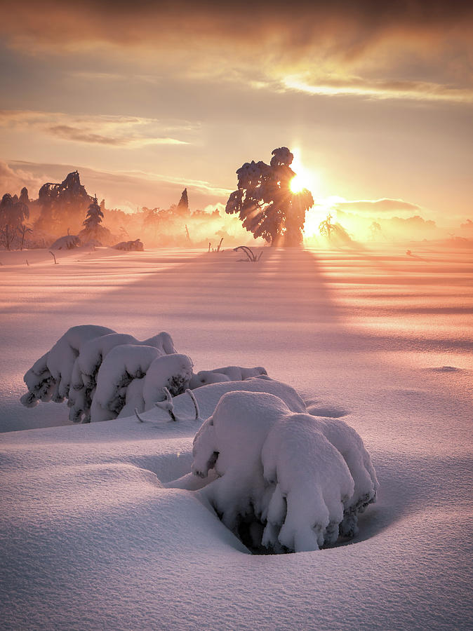 Winter Wonderland Sunset Photograph by Andreas Wonisch