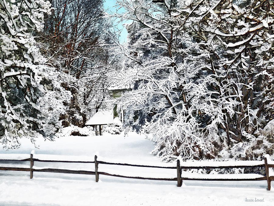 Winter Wonderland Photograph by Susan Savad