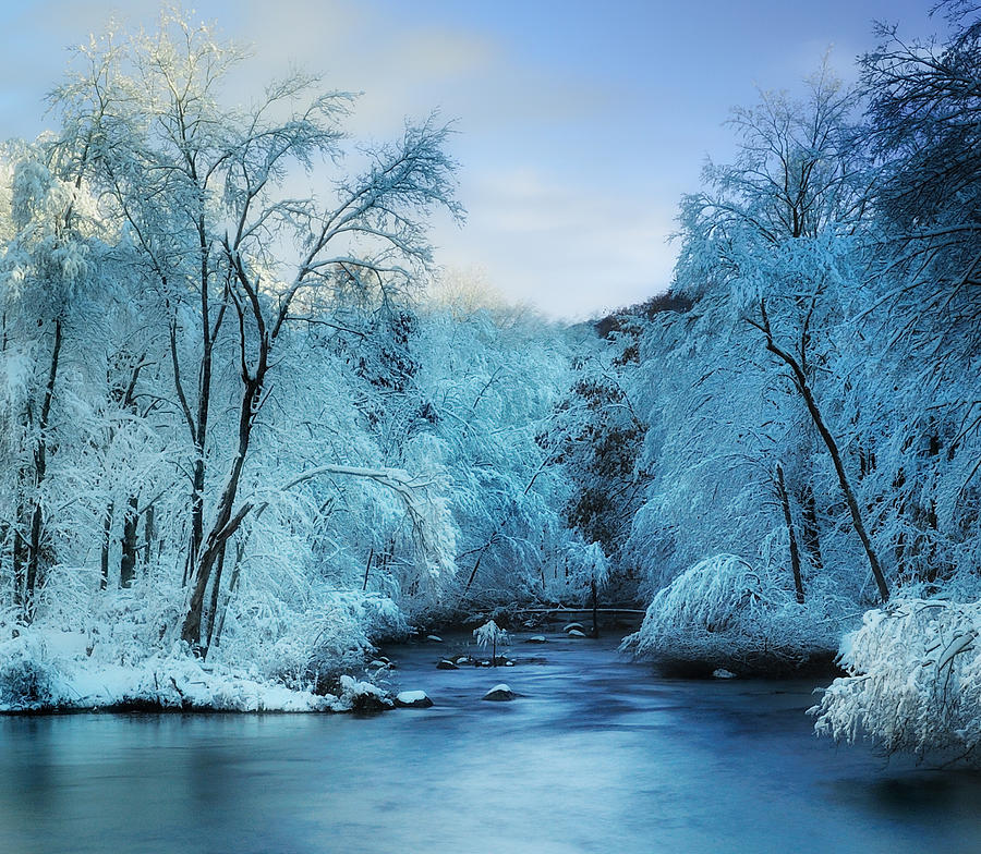  Winter  Wonderland Photograph by Expressive Landscapes 