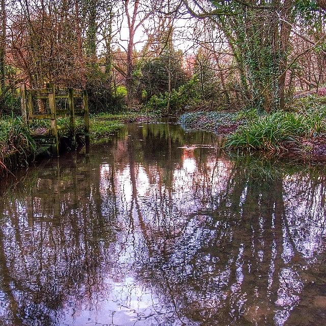 Igers Photograph - Winter Woodland : Reflection by Neil Andrews