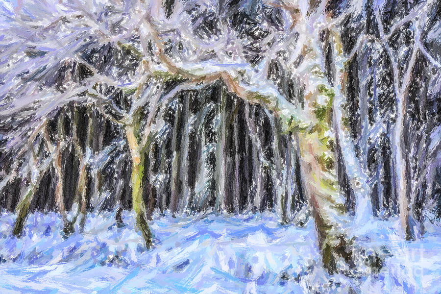 Winter woodland Digital Art by Liz Leyden