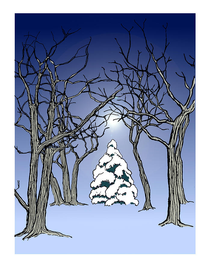 Winter Woods 3 by David Burkart Winter Woods 3 by David Burkart