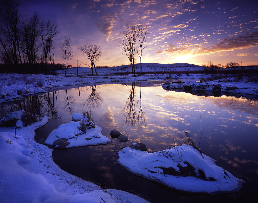 Winter World Photograph by Ray Mathis