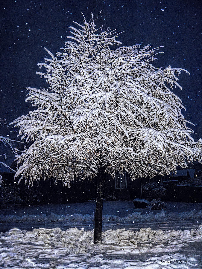 Winter Wrapping Digital Art by Jo-Anne Gazo-McKim