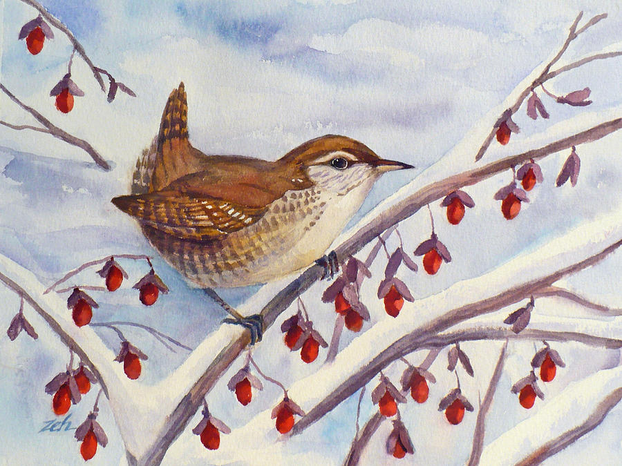 Winter Wren Painting by Janet Zeh