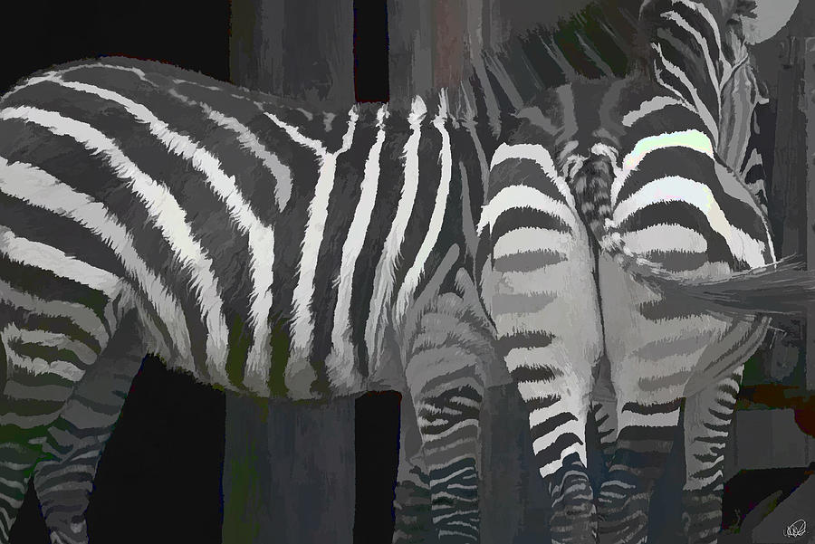 Winter Zebras Painting by Angela Stanton