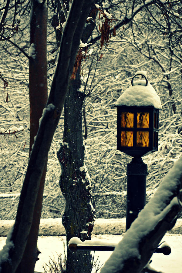 Wintered Lantern Photograph by Cyryn Fyrcyd