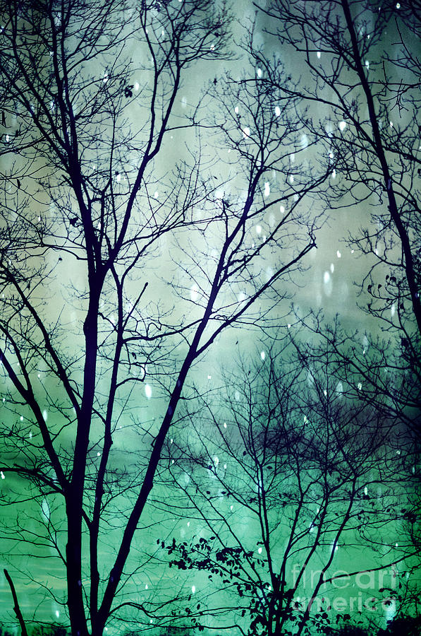 Winter Photograph - Wintergreen Twilight by Kim Fearheiley