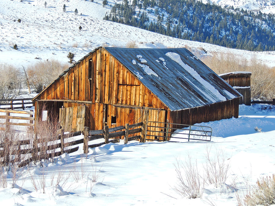 Wintering Range Barn Photograph by L J Oakes