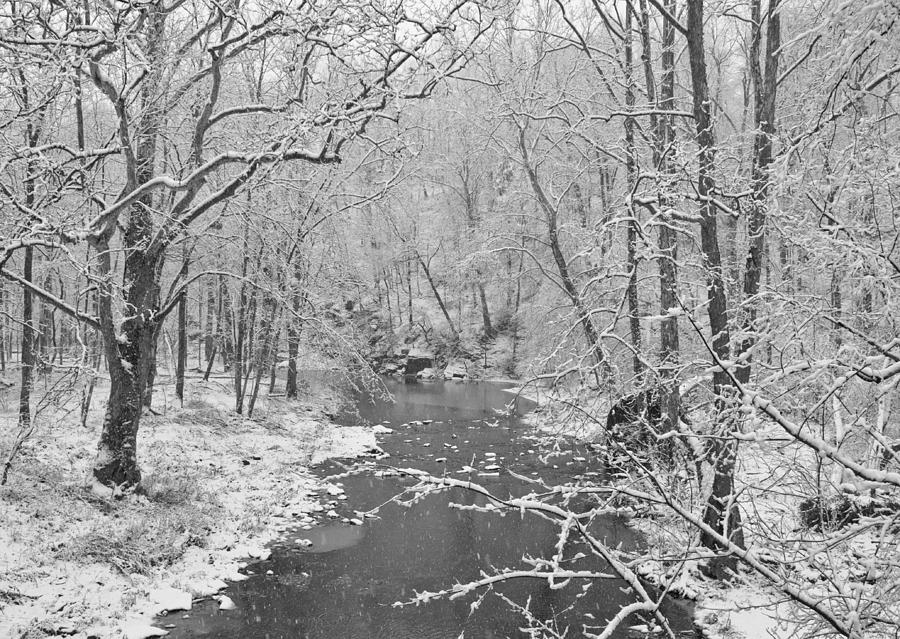 Winterlake Photograph by Nancy Edwards