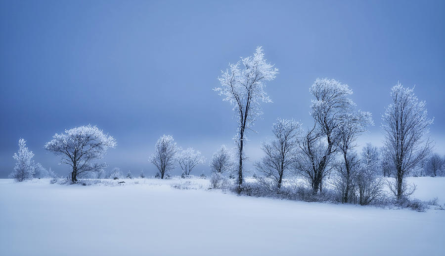 Winter Photograph - Winterland by Christian Duguay Winter Photograph - Winterland by Christian Duguay
