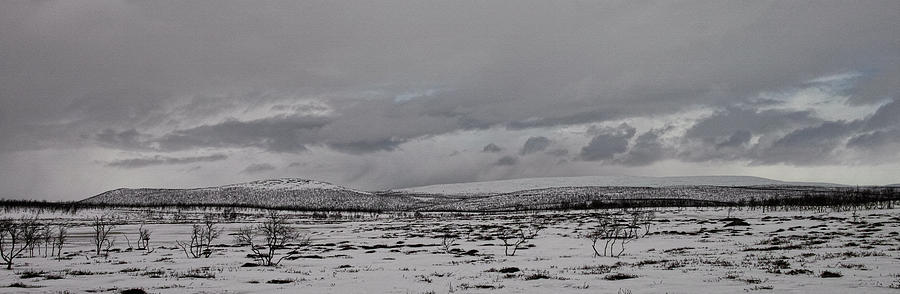Winterland in April Photograph by Pekka Sammallahti