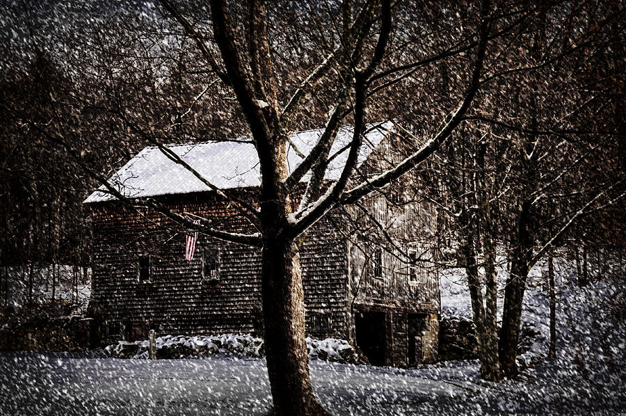 Nature Photograph - Winters At The Farm by Tricia Marchlik