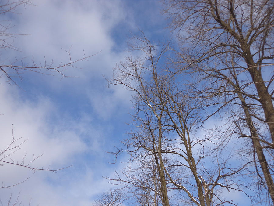 Winters Blue Sky Photograph by Jacqueline Hudson