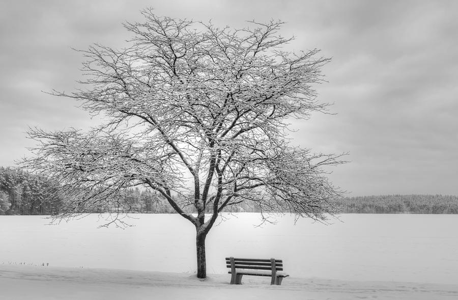 Winter Photograph - Winters Calm by Diana Nault Winter Photograph - Winters Calm by Diana Nault