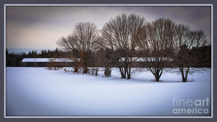 Winters Calm Photograph by Mary Lou Chmura