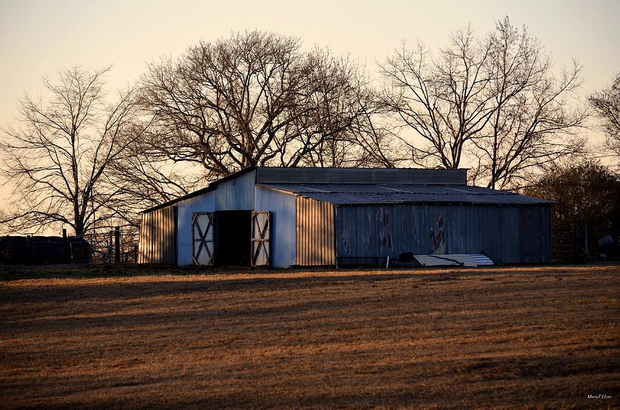 Winters Cow Barn Photograph by Maria Urso