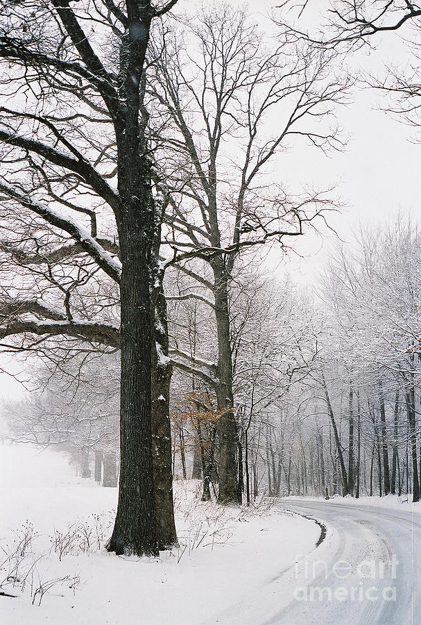 Winters Curve Photograph by Randy Pollard