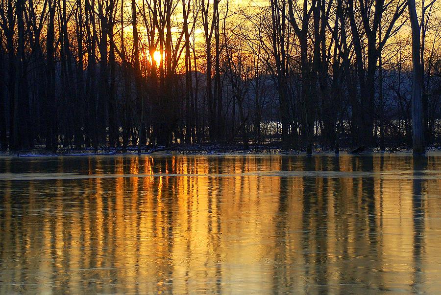 Winter Photograph - Winters Dawn by Monica Lewis