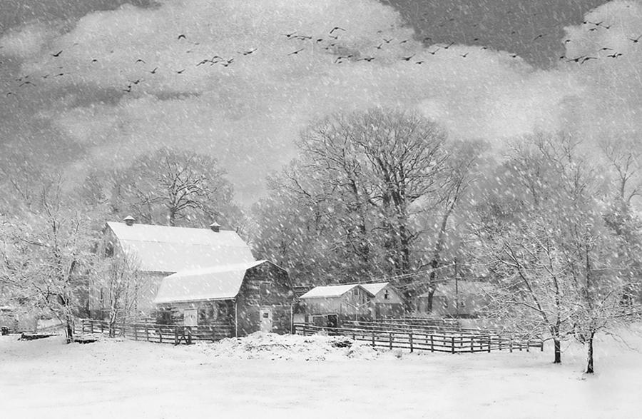 Barn Photograph - Winters Fury by Stephanie Calhoun