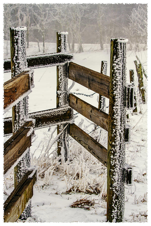 Winter Photograph - Winters Gate by John Haldane