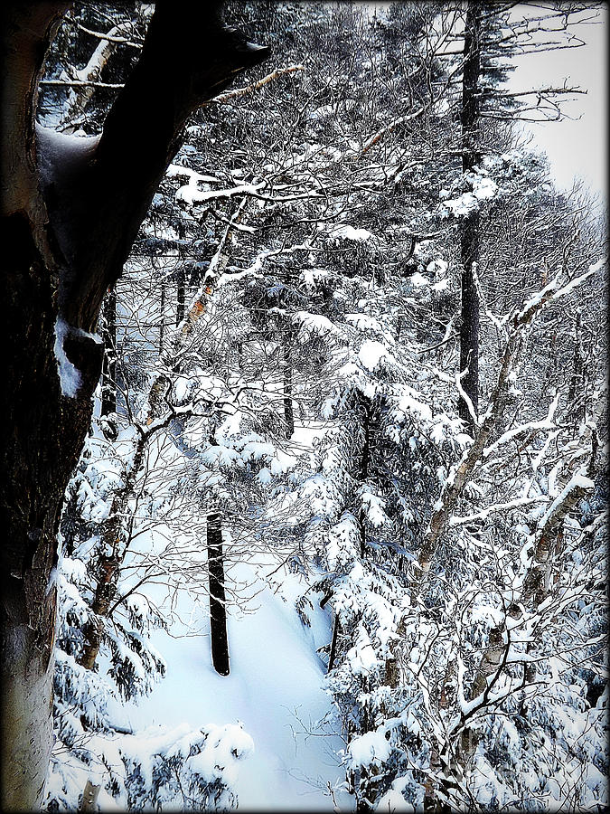 Winters Glory Photograph by James Aiken