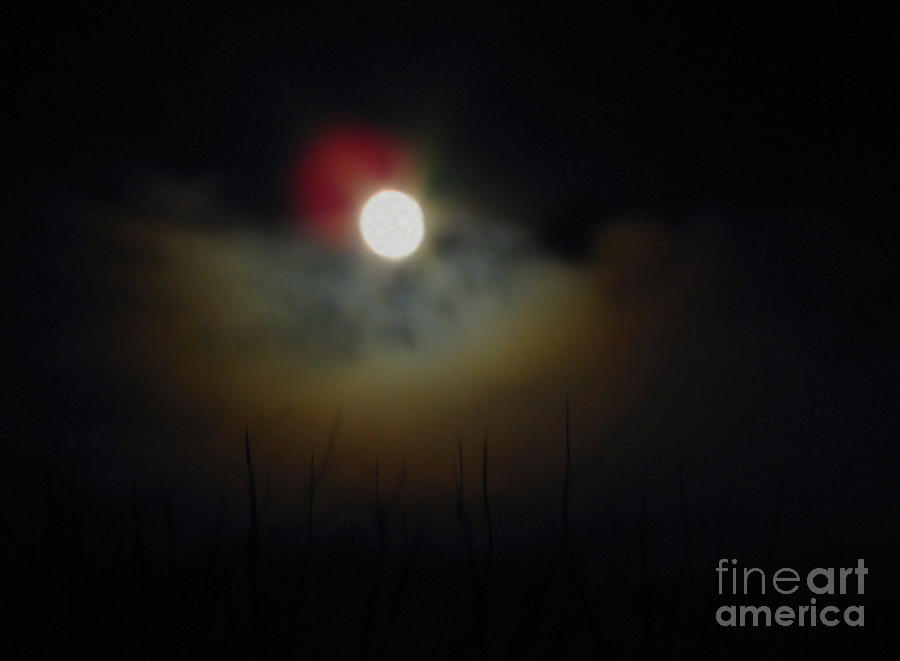 Winters Moon Photograph by Cedric Hampton