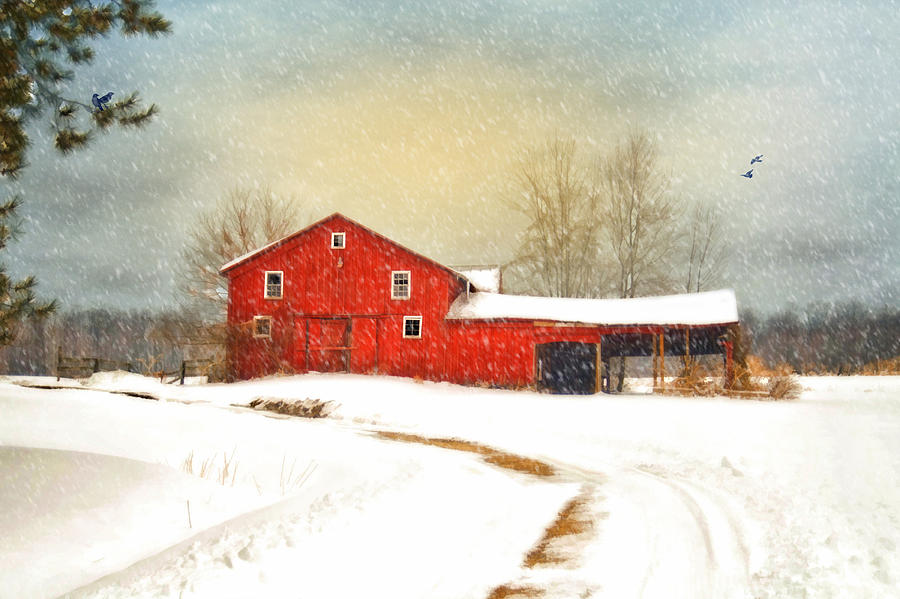 Winters Morning Photograph by Mary Timman