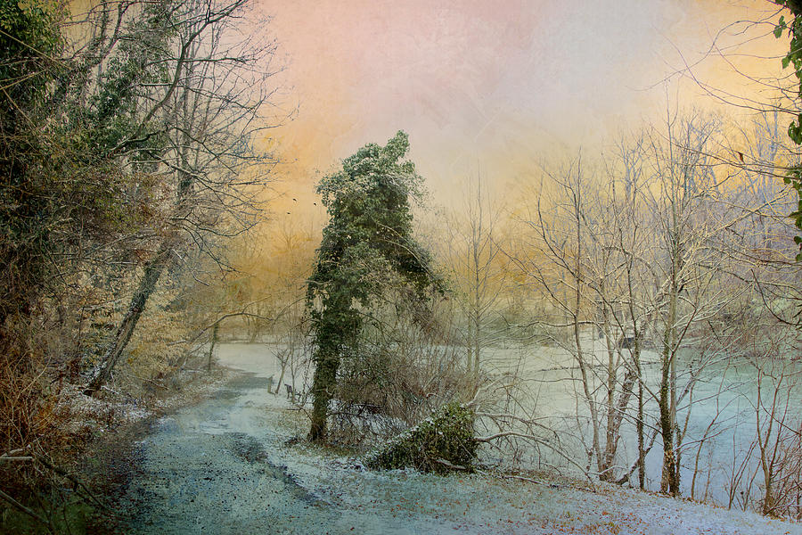 Winter Path Photograph by John Rivera
