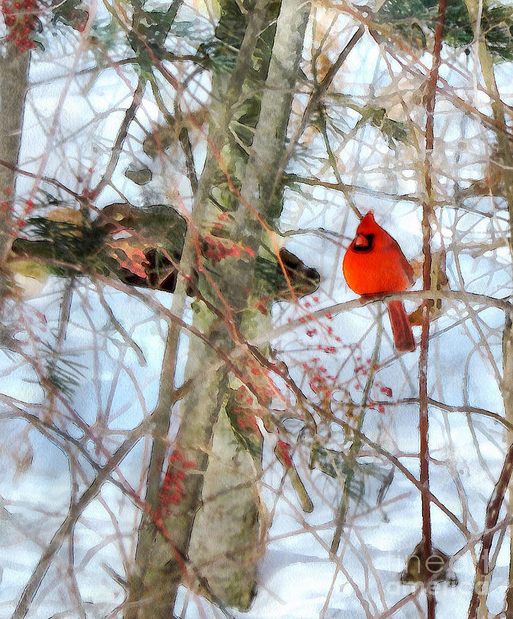 Cardinal Painting - Winters Red Bird by Helene Guertin