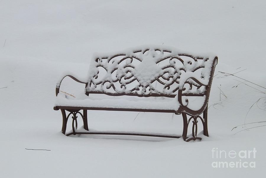 Winters Rest Photograph by Anita Adams