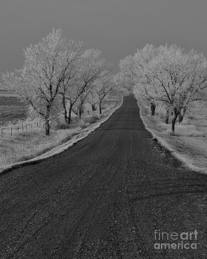 A Rural Winters Road Photograph by Steve Triplett