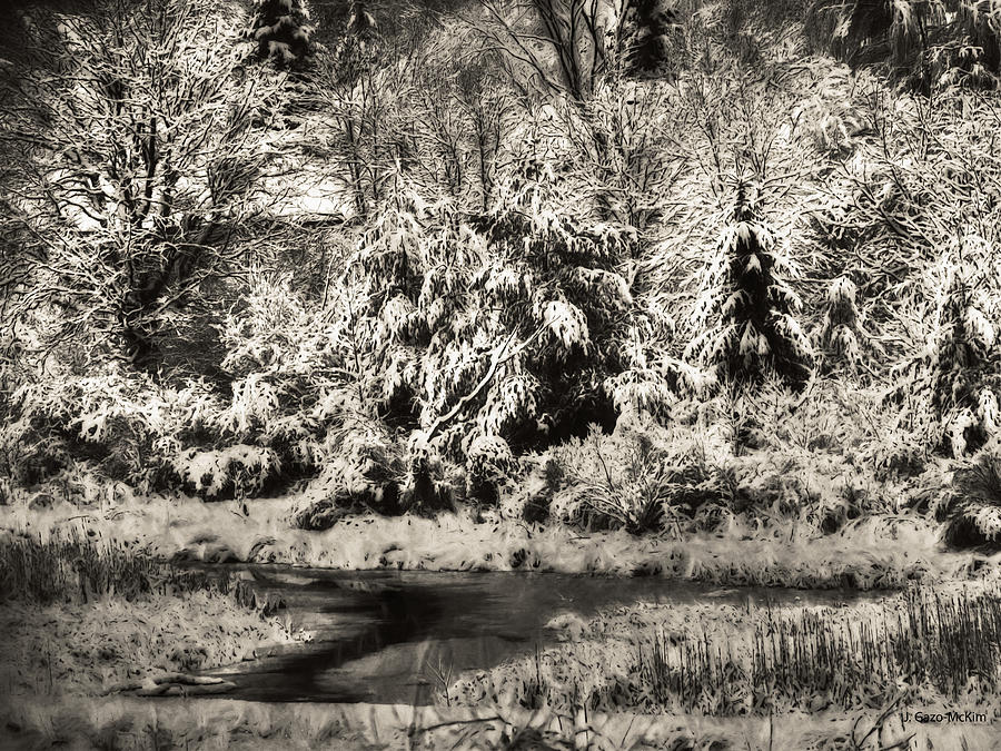 Winters Sepia Grip Photograph by Jo-Anne Gazo-McKim