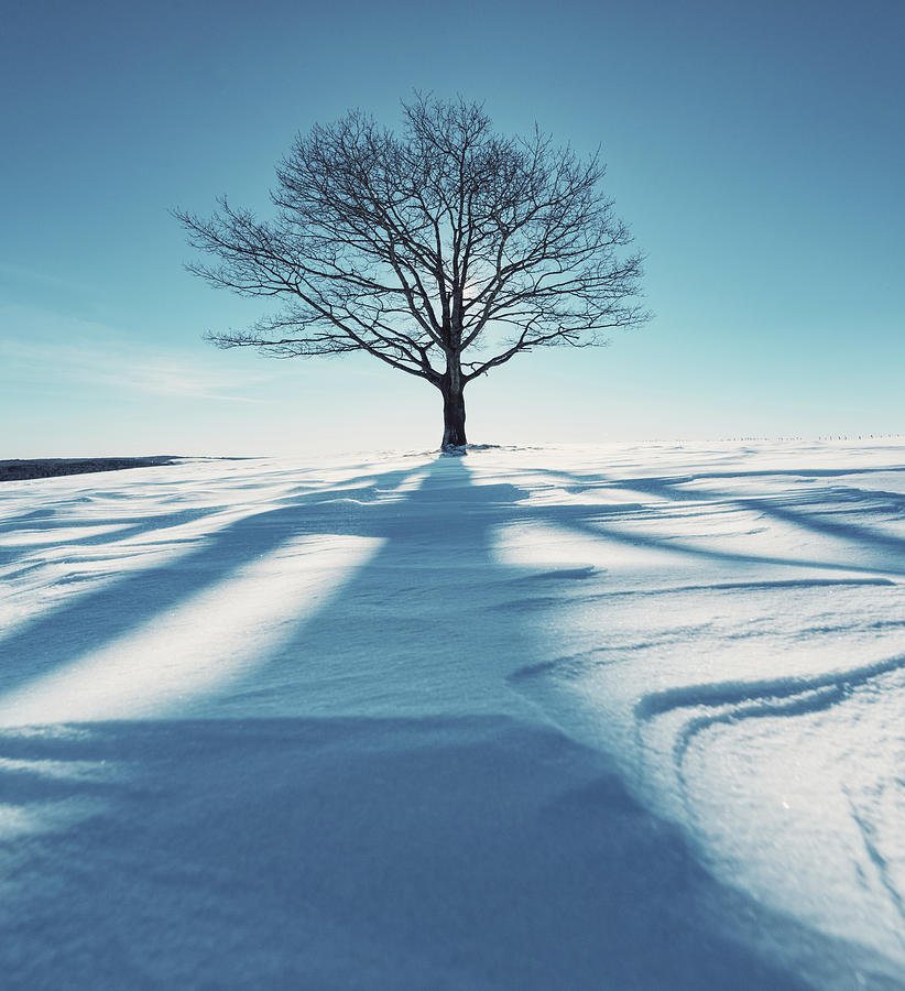 Winters Silhouette Photograph by Shaunl - Fine Art America