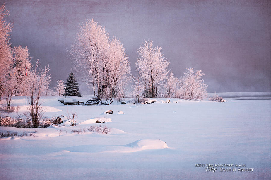 Tree Photograph - Winters Splendor #3 - Pastels by Dustin Abbott