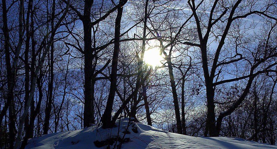 Winters Sun Photograph by Bruce Carpenter