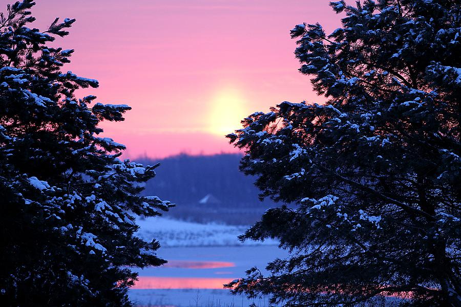 Winters Sunrise Photograph by Elizabeth Winter