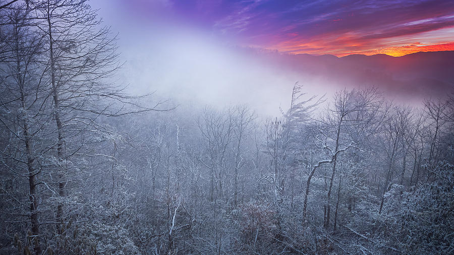 Winters Sunrise Photograph by Maria Robinson